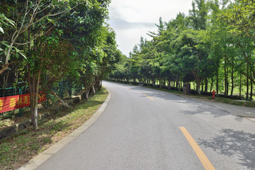 景区道路