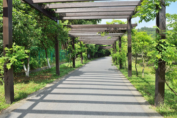 景区道路