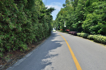 景区道路