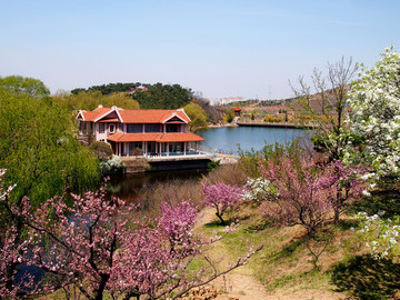 山东省 青岛市 十梅庵景区