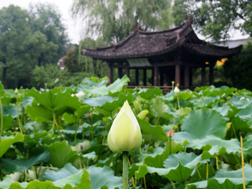 浙江省 绍兴市 沈园景区