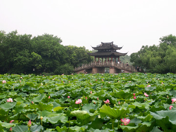 杭州市 西湖景区