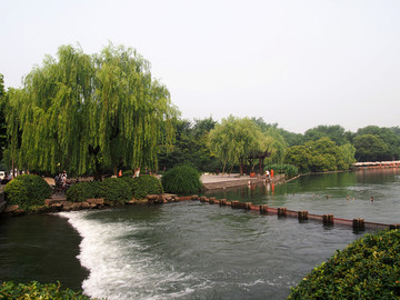 杭州市 西湖景区 花港观鱼