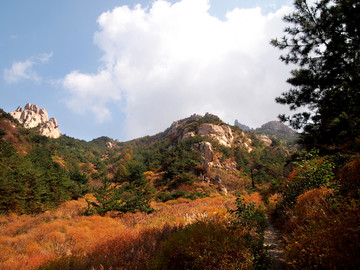 青岛市 崂山 长涧 秋色