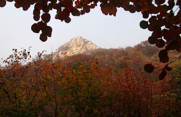 潍坊市 临朐县 石门坊风景区