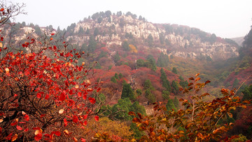 潍坊市 临朐县 石门坊风景区