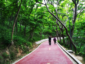 威海里口山国家登山健步道塑胶路