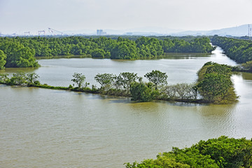 南沙湿地公园