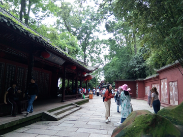 乐山凌云寺风景