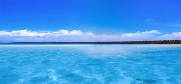 旅行度假海岛沙滩椰树海景