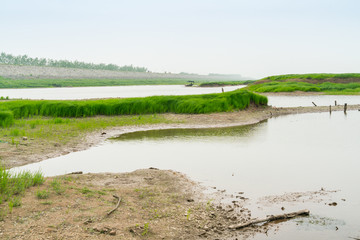 湖区湿地