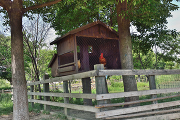 田园东方 现代农业 休闲旅游