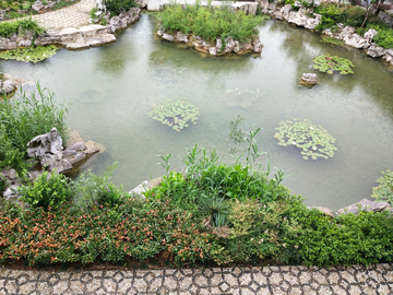 景区公园池塘雨后风景