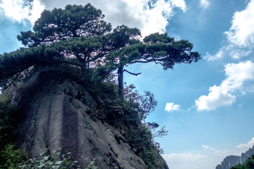 黄山