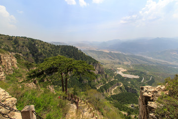 北岳恒山 姊妹松