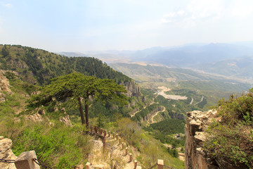 北岳恒山 姊妹松