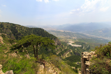 北岳恒山 姊妹松