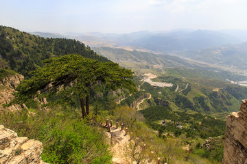 北岳恒山姊妹松