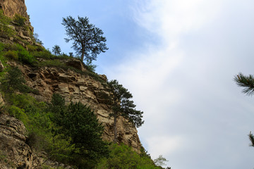 恒山风光恒山松