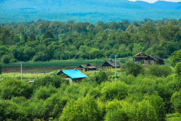 森林山村