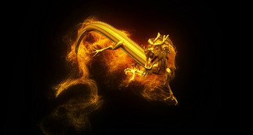龍 金龍