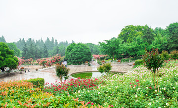 杭州花圃 花园景观