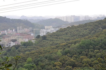 东莞园龙山公园