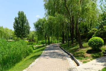 绿色背景 公园小路
