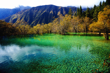 黄龙彩池秋景