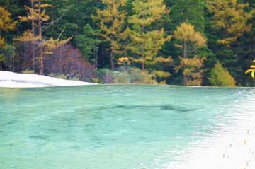 黄龙彩池秋景