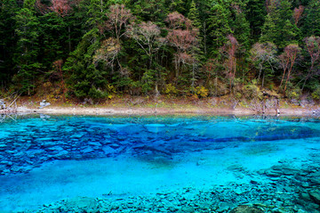 九寨沟五色海