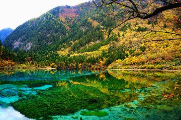 九寨沟五花海秋景