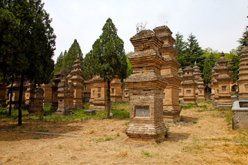 郑州 登封 嵩山少林寺 塔林