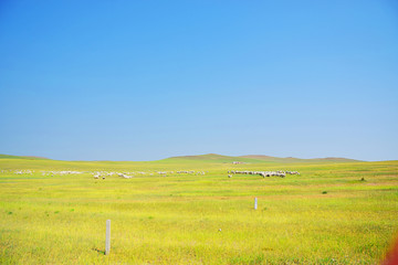 内蒙古草原上的风景