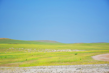 内蒙古草原上的风景