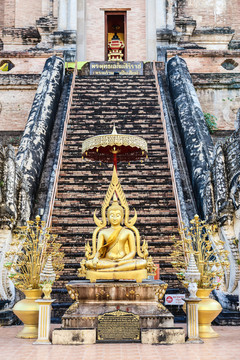 泰国清迈契迪龙寺佛像