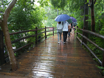 雨中乌镇