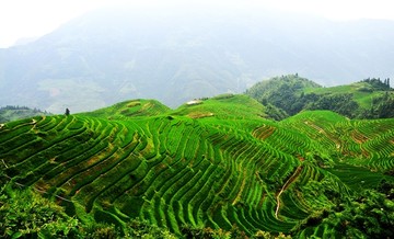 龙脊梯田