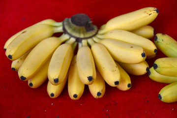 小米蕉 米香蕉 新鲜水果