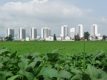 新农村建设