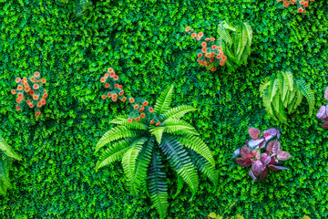 绿色植物背景