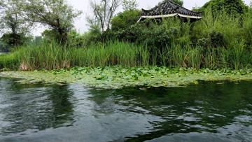 河岸河流水草