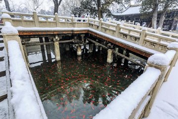 瑞雪晋祠