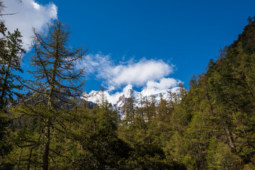 高原雪山