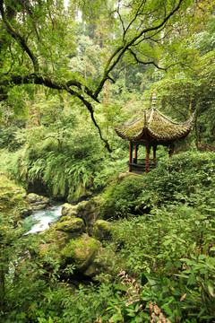 峨眉山清音阁