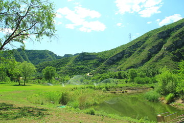 青山绿水