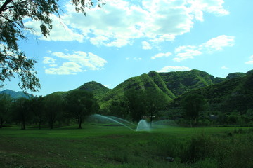 青山绿水