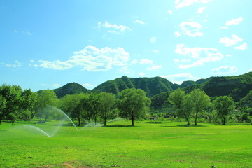 青山绿水