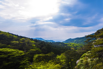 庐山云雾