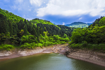 森林湖水